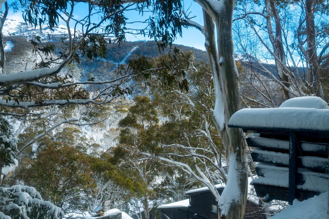 Pure Chalet Thredbo Exterior foto